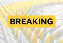 Former F1 commentator Walker dies at 97 Fans set to be allowed at outdoor sports