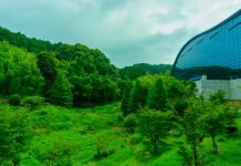 10 Things To Do in Fukuoka Prefecture, Japan 10 Things to do in Fukuoka, Japan 8