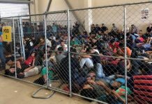 Texas Dem Blasts Biden Delegation’s Border Visit: ‘They Didn’t Talk to Anybody’ | National Review Texas Dem Blasts Biden Delegation’s Border Visit: ‘They Didn’t Talk to Anybody’ | National Review